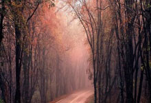 开云体育：[NBA]巴图姆手感火热 底角三分一箭穿心.